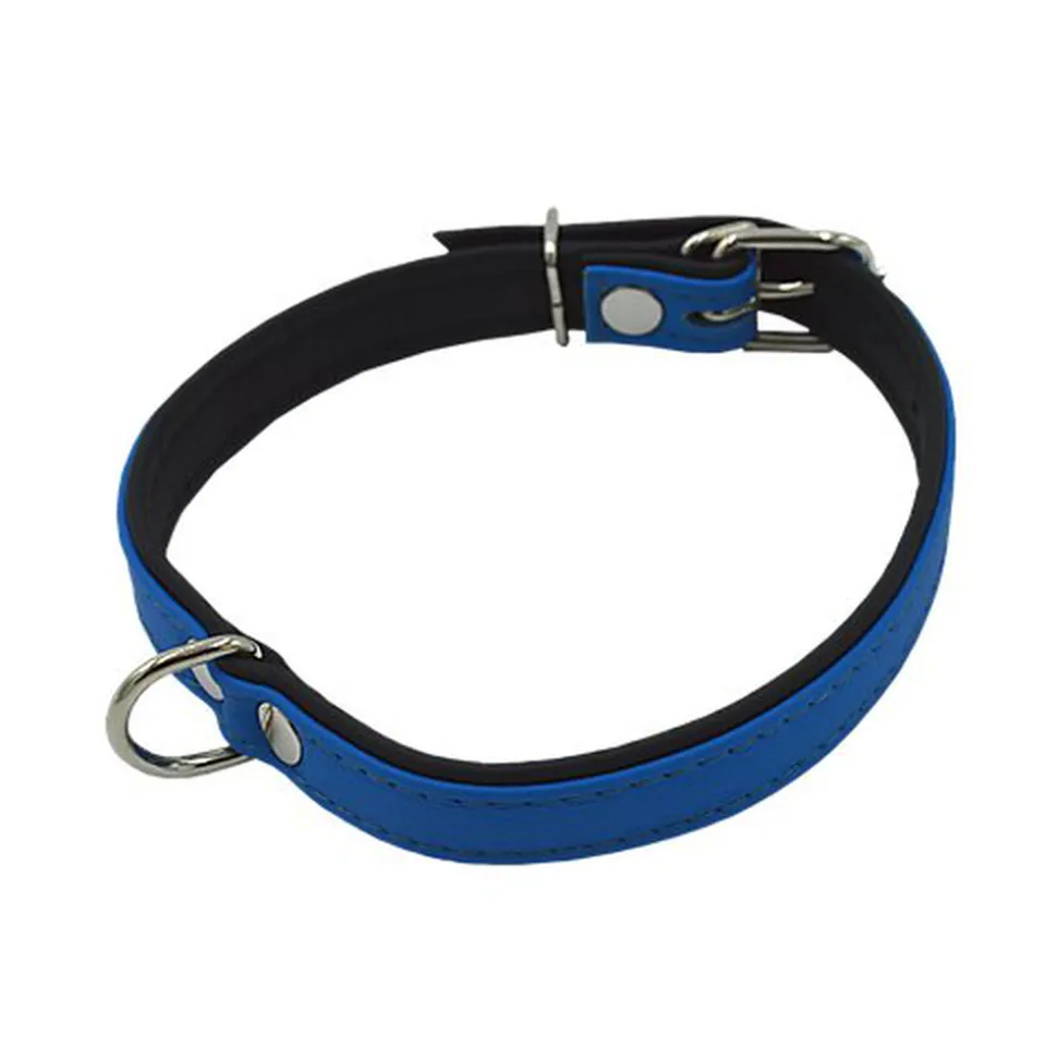 Comme Un Roi - Collier Cuir So Funky Bleu / Noir pour Chien