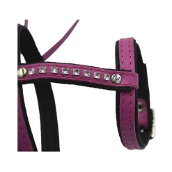 Comme Un Roi - Harnais et Laisse Cuir So Funky Rose pour Chat - TU