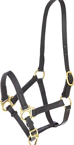 Covalliero - Licol Réglable Eco, cuir marron