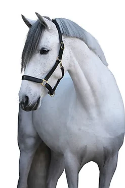 Covalliero - Licol Réglable Eco, cuir noir