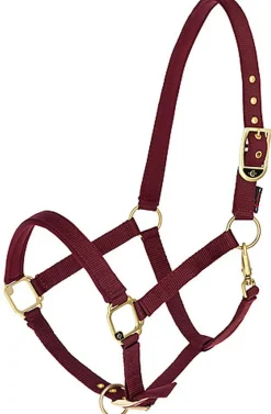 Covalliero - Licol Réglable Classy Merlot