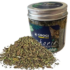 Croci - Bocal Catnip Euphoria pour Chats - 25g