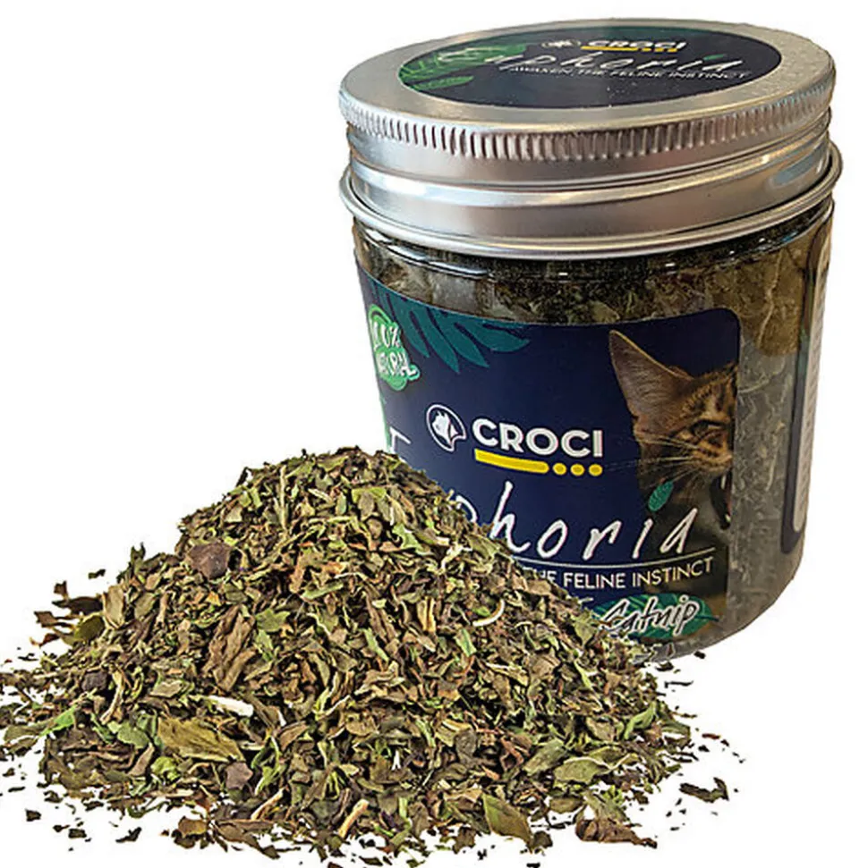 Croci - Bocal Catnip Euphoria pour Chats - 25g