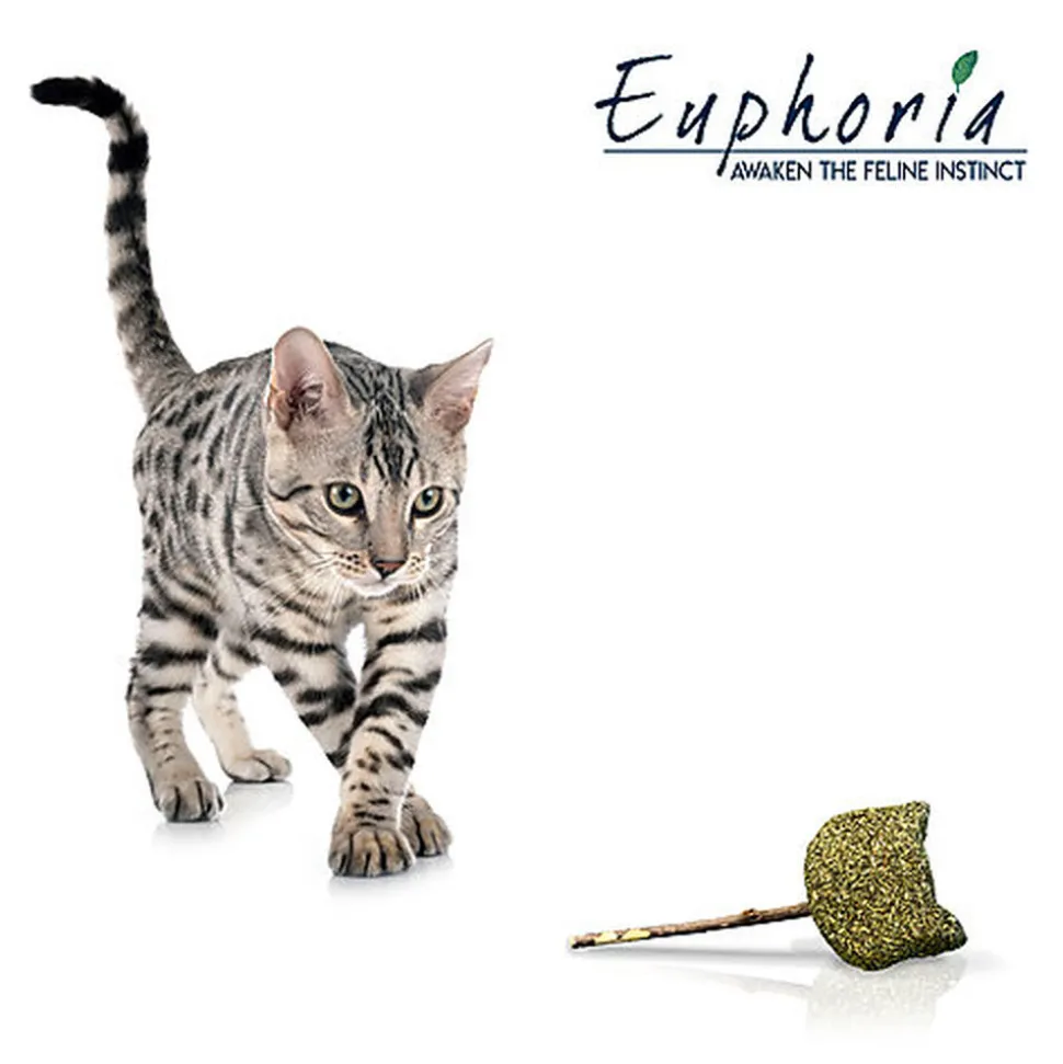 Croci - Jouet Baguette Catnip Euphoria Etoile - 12cm