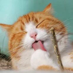 Croci - Jouet Sticks Euphoria Silverine pour Chats - x5