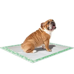 Croci - Tapis Hygénique Super Nappy Daisy pour Chiots - 84x57cm