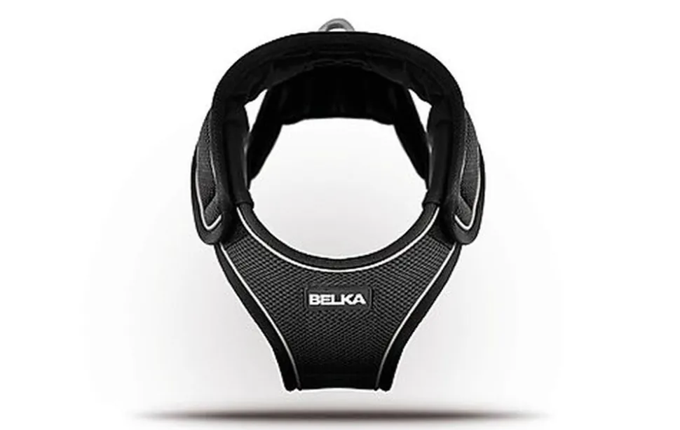 Curli - Harnais Belka Air-Mesh en Noir pour Chiens - S