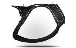 Curli - Harnais Belka Air-Mesh en Noir pour Chiens - S