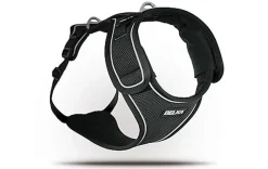 Curli - Harnais Belka Air-Mesh en Noir pour Chiens