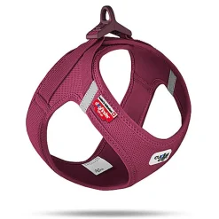 Curli - Harnais Veste Boucle Curli Clasp Ruby pour Chien