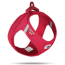 Curli - Harnais Veste Boucle Curli Clasp Rouge pour Chien