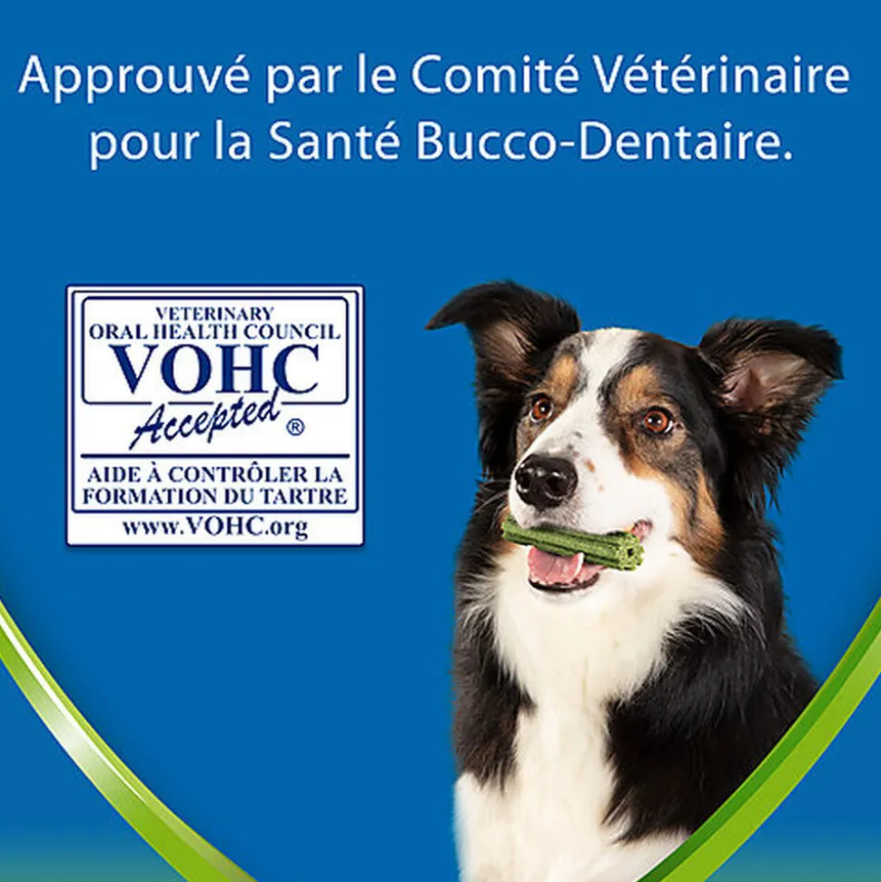 DENTALIFE - Friandises à mâcher ACTIVFRESH bucco-dentaire pour Petits Chiens - 115g