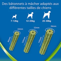 DENTALIFE - Friandises à mâcher ACTIVFRESH bucco-dentaire pour Chiens Moyens - 115g