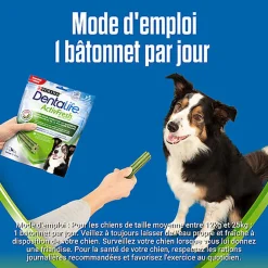 DENTALIFE - Friandises à mâcher ACTIVFRESH bucco-dentaire pour Chiens Moyens - 115g