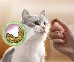 Dentalife - Friandises au Poulet pour chats adultes - 140g