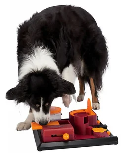 Dog Activity - Jouet Éducatif Poker Box 2 pour Chien