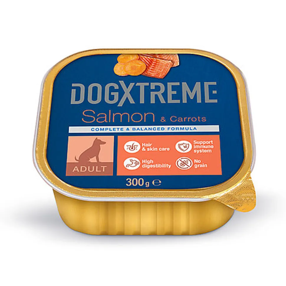 DogXtreme - Boîte au Saumon et aux Carottes pour Chien Adulte - 300g