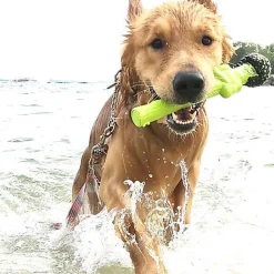 Doog - Jouet Bâton The Sticks Incredible Stalk pour Chiens - 32cm