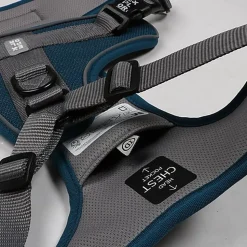 Duvoplus - Harnais Classic Ultimate Fit No-Pull Bleu Pétrol pour Chiens