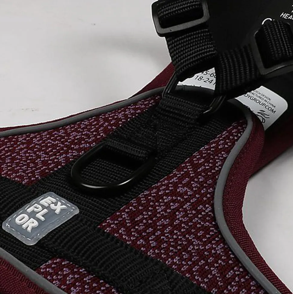 Duvoplus - Harnais Fashion Ultimate Fit No-Pull Prune pour Chiens