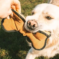 Duvoplus - Jouet Canvas os Multicolore - 12 x 14 x 24 cm