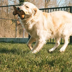 Duvoplus - Jouet Canvas os Multicolore - 12 x 14 x 24 cm