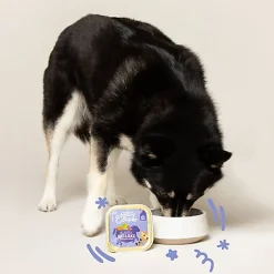 Edgard & Cooper - Barquette au Bœuf et Canard pour Chien - 150g