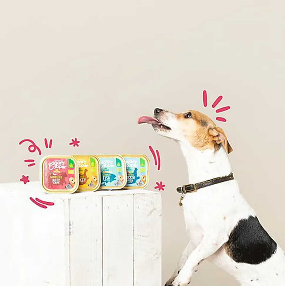 Edgard & Cooper - Barquette BIO au Bœuf avec Noix de Coco et Chia pour Chien - 100g