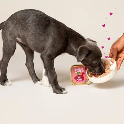 Edgard & Cooper - Barquette au Canard et Poulet pour Chiot