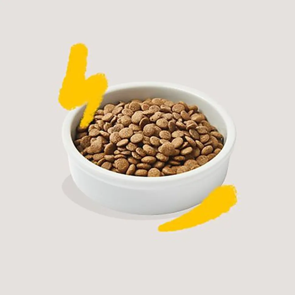 Edgard & Cooper - Croquettes à la Dinde et au Poulet pour Chat Adulte - 2Kg