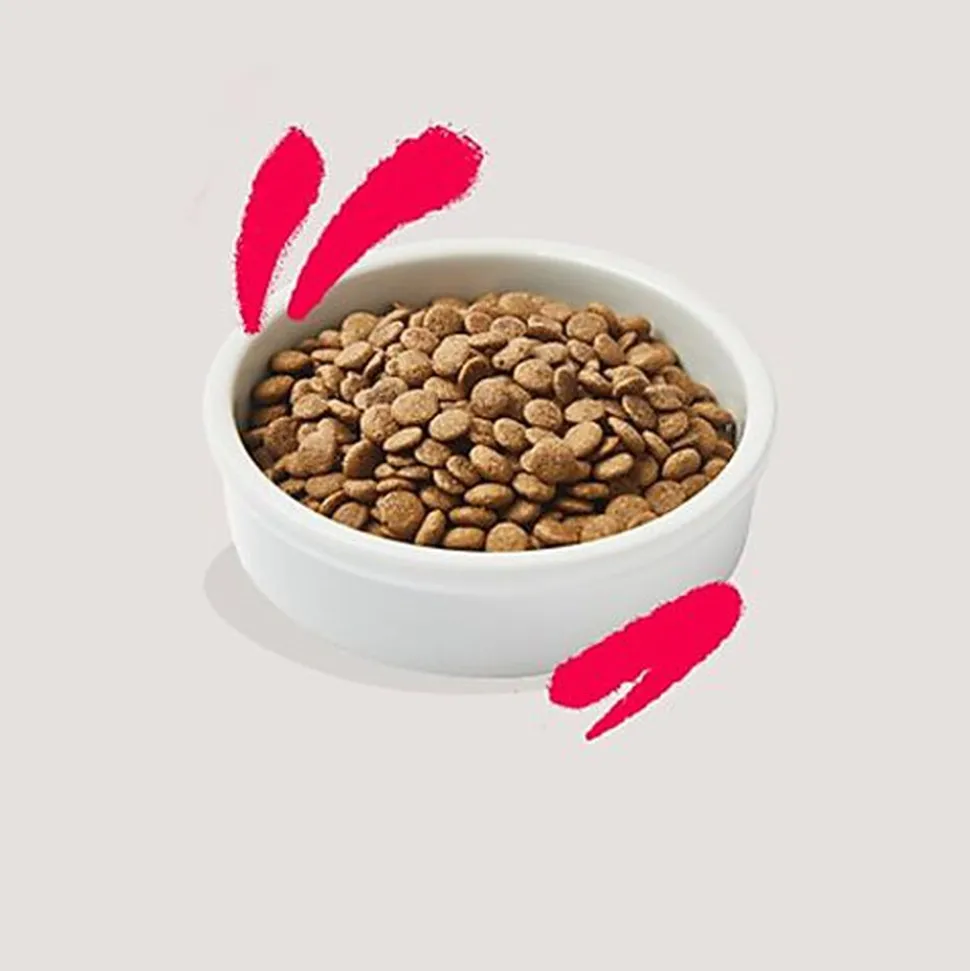 Edgard & Cooper - Croquettes à la Dinde et au Poulet pour Chat Senior - 2Kg