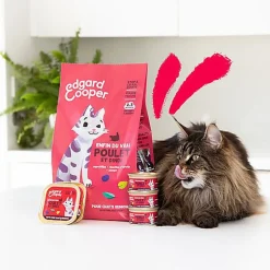 Edgard & Cooper - Croquettes à la Dinde et au Poulet pour Chat Senior - 2Kg