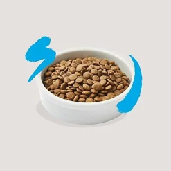 Edgard & Cooper - Croquettes au Saumon pour Chat Adulte