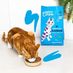Edgard & Cooper - Croquettes au Saumon pour Chat Adulte