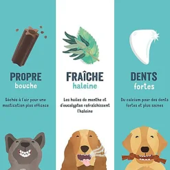 Edgard & Cooper - Sticks à Mâcher Dental Naturel à la Fraise et Huile de Menthe pour Chien S