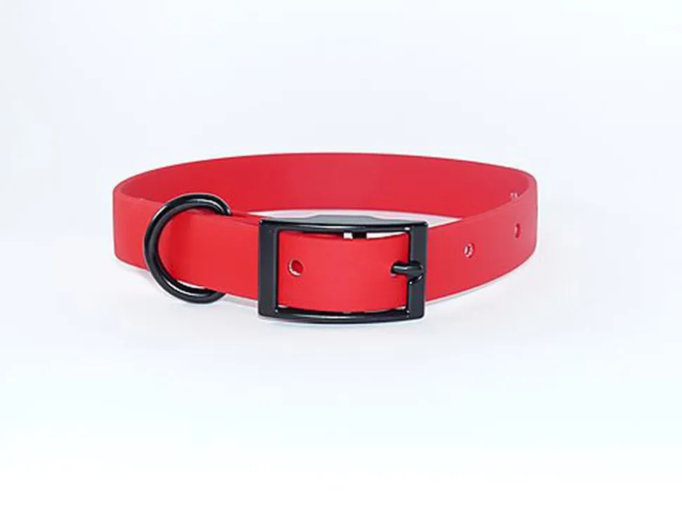 eKys - Collier Biothane pour Chien Rouge