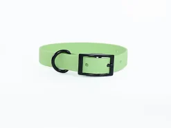 eKys - Collier Biothane pour Chien Vert