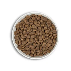 Era - Croquettes Millennium Poulet et Faisan pour Chiens Moyennes et Grandes Races - 500g