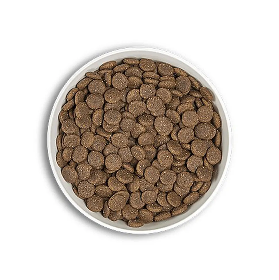 Era - Croquettes Millennium Canard et Agneau pour Chien de Moyennes et Grandes Races