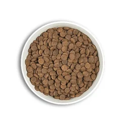 Era - Croquettes Millennium Poulet et Dinde pour Chiot de Grandes Races