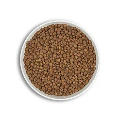 Era - Croquettes Millennium Poulet et Faisan pour Chien