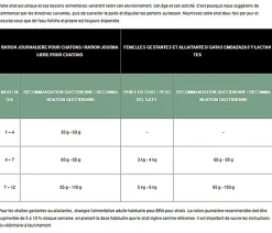 Era - Croquettes Sans Céréales Poulet et Dinde pour Chaton