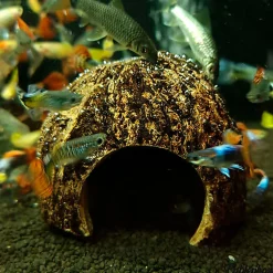 Eublepharis - Cachette Kabuto pour Reptiles - 12cm