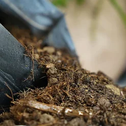 Eublepharis - Sol Nutritif Bio-Active Premium Tropical Soil - 10Kg