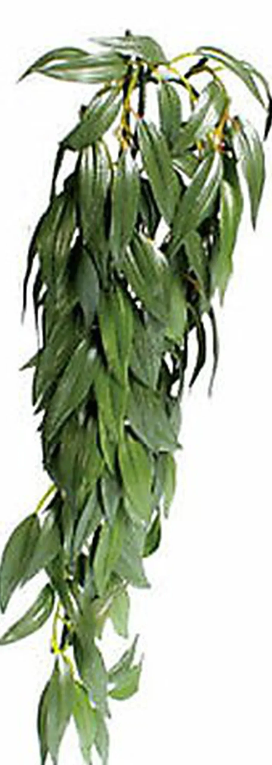 Exo Terra - Feuillage Décoratif Ruscus Plante pour Terrarium - 41cm