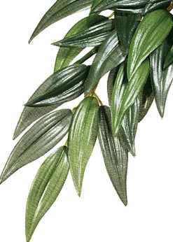 Exo Terra - Feuillage Décoratif Ruscus Plante pour Terrarium - 60cm