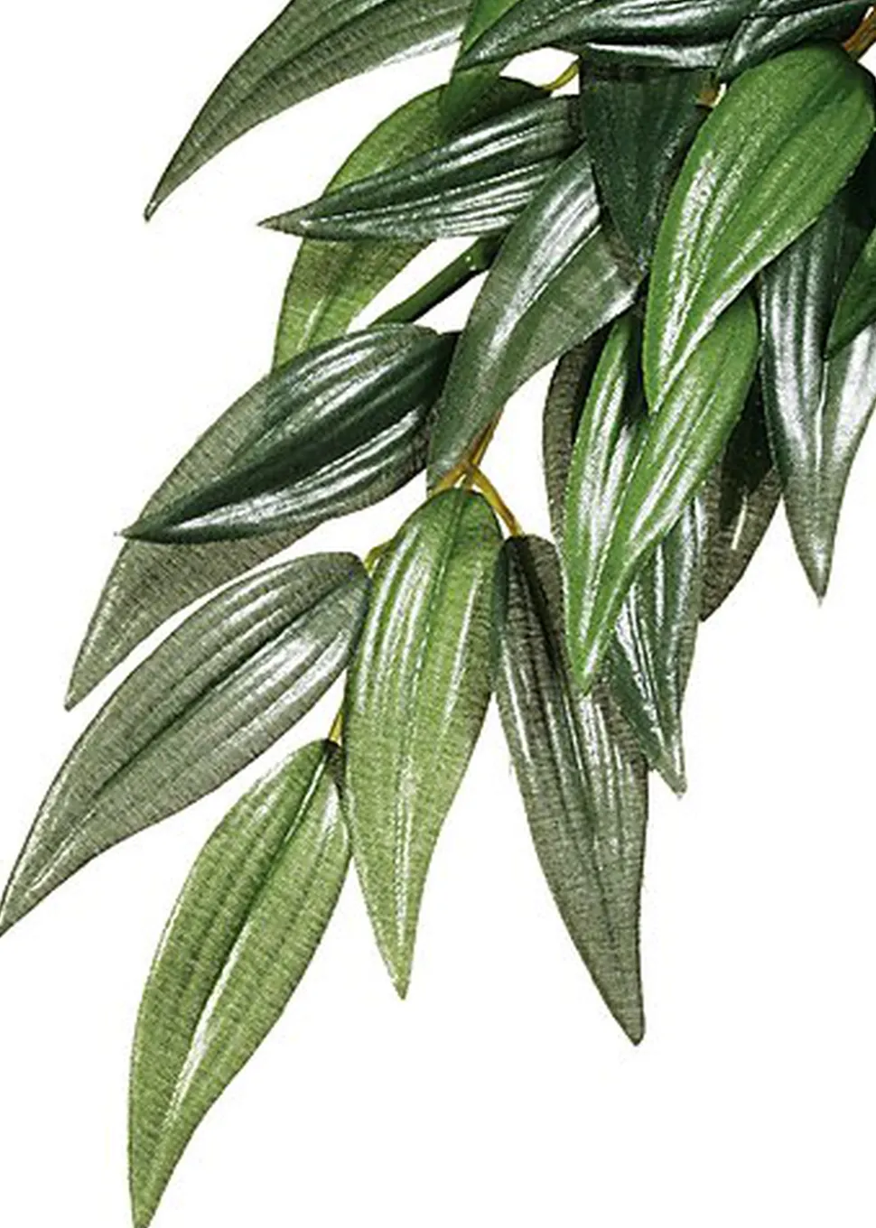 Exo Terra - Feuillage Décoratif Ruscus Plante pour Terrarium - 60cm