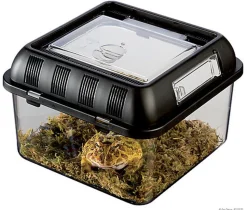 Exo Terra - Terrarium Breeding Box S pour Reptiles - 20x20x15cm