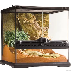 Exo Terra - Terrarium en Verre pour Reptile - 30x30x30cm