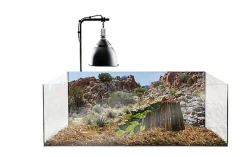 Exo Terra - Terrarium tortue Kit - 60x35x23cm